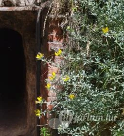 Denevér utcai barlangóvóhely