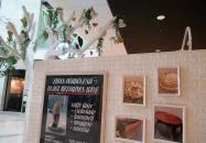 Desszert Neked - Allee Budapest