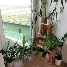 Desszert-Szalon Dabas - Belső