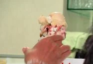 Dinasztia Cukrászda Siófok