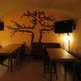 Diófa Pinyó Bar Budapest - Belső