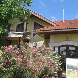 Diófa Vendéglő, Székesfehérvár - Egyéb