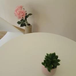 Divine Sugar Free Cukrászda - Margit körút, Budapest - Egyéb