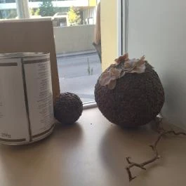 Dolce Fantasia Gelateria Italiana - Árbóc utca Budapest - Egyéb