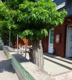 Don Pepe Étterem & Pizzéria - Lőrinc