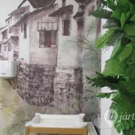 Dong Do Quan - Asian Street Food Budapest - Mosdó