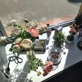 Donuterie Budapest - Belső