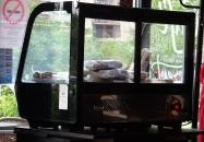 Dori's Lunchroom Budapest