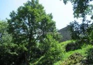 Drégely vára Drégelypalánk