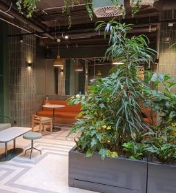 Dreher Tanksör - Time Out Market, Budapest