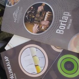 Drink Bár - Aquaticum Hotel Debrecen - Egyéb