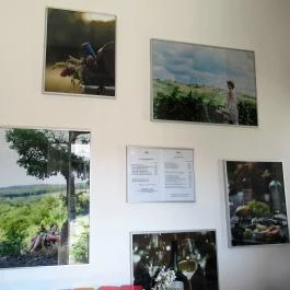 Dubicz Borászat Gyöngyös - Egyéb