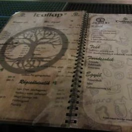 Dublin Pub Szeged - Egyéb