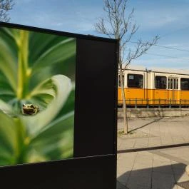 Dunakorzó Budapest - Egyéb