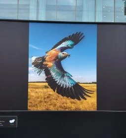 58. legjobb látnivaló: Dunakorzó