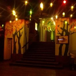 Dürer Kert, Budapest - Belső