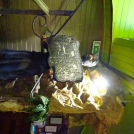 Dzsungel Kávézó & Étterem, Budapest - Belső