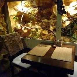 Dzsungel Kávézó & Étterem, Budapest - Belső