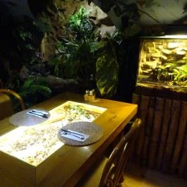 Dzsungel Kávézó & Étterem, Budapest - Belső