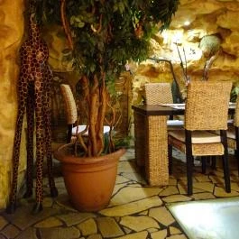 Dzsungel Kávézó & Étterem, Budapest - Belső