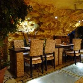 Dzsungel Kávézó & Étterem, Budapest - Belső