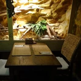 Dzsungel Kávézó & Étterem, Budapest - Belső