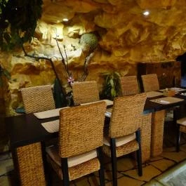Dzsungel Kávézó & Étterem, Budapest - Belső
