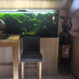 Dzsungel Kávézó & Étterem, Budapest - Belső