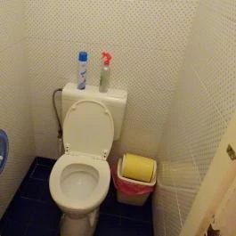 Édeni Vegán – Kézműves Vegetáriánus Étterem, Budapest - Mosdó