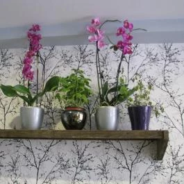 Édesmindegy, Budapest - Belső