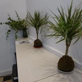 ÉdességLabor Budapest - Belső