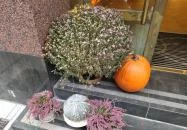 Edison & Jupiter Budapest