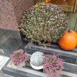 Edison & Jupiter Budapest - Egyéb