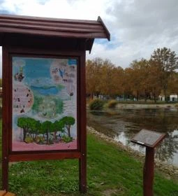 Égerösvény Zalakaros