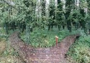 Égerösvény Zalakaros Zalakaros