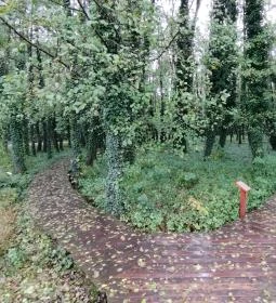 Égerösvény Zalakaros