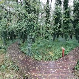 Égerösvény Zalakaros Zalakaros - Egyéb