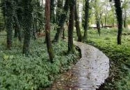 Égerösvény Zalakaros Zalakaros