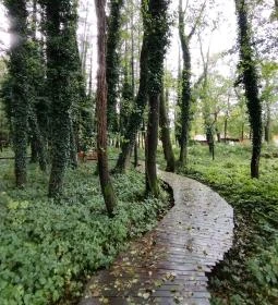 Égerösvény Zalakaros