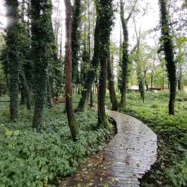 Égerösvény Zalakaros Zalakaros - Egyéb