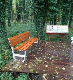 Égerösvény Zalakaros