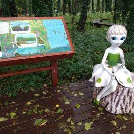 Égerösvény Zalakaros Zalakaros - Egyéb