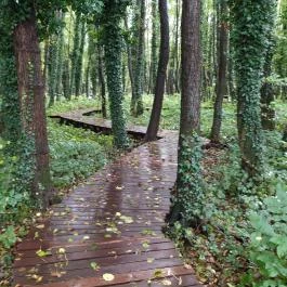 Égerösvény Zalakaros Zalakaros - Egyéb