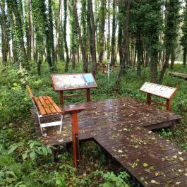 Égerösvény Zalakaros Zalakaros - Egyéb