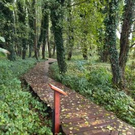 Égerösvény Zalakaros Zalakaros - Egyéb