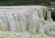 Egerszalóki Sódomb Egerszalók