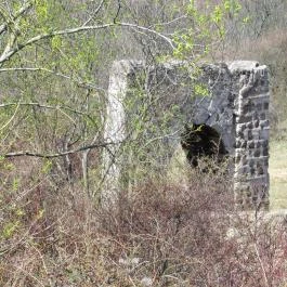 Egri Vár másolata Pilisborosjenő - Egyéb