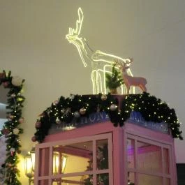 Egyszarvú Unicorn Bistro & More Budapest - Egyéb