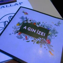 El Cactus Tequila Bár, Miskolc - Egyéb