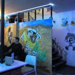 El Cactus Tequila Bár, Miskolc - Egyéb